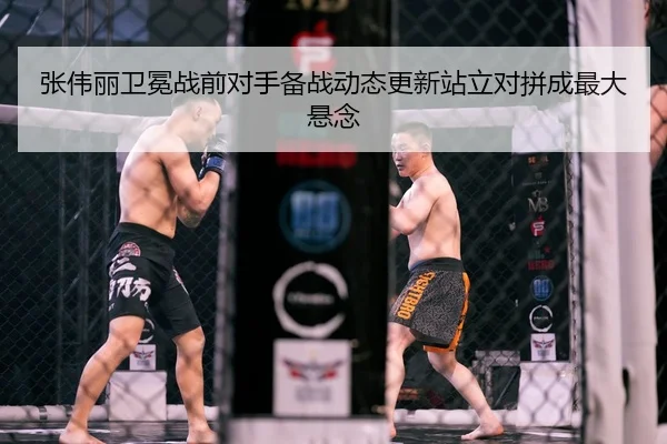 张伟丽卫冕战前对手备战动态更新站立对拼成最大悬念
